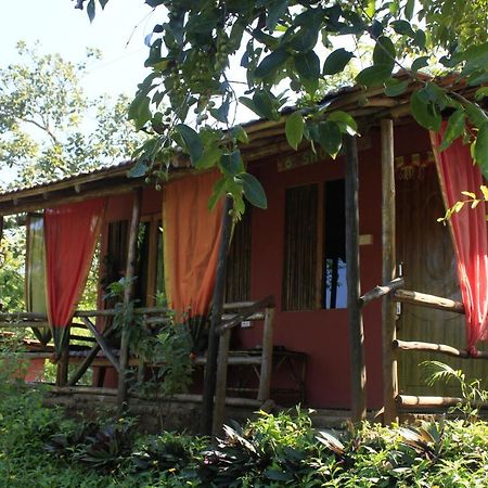 فندق أغوندافي  Galaxy Jungle Huts المظهر الخارجي الصورة