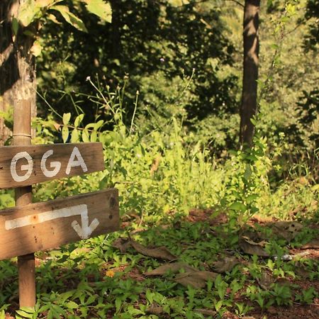 فندق أغوندافي  Galaxy Jungle Huts المظهر الخارجي الصورة