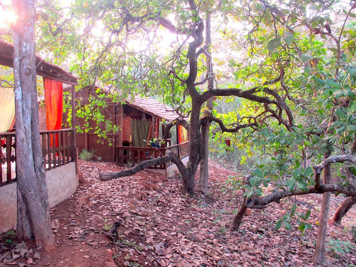 فندق أغوندافي  Galaxy Jungle Huts المظهر الخارجي الصورة