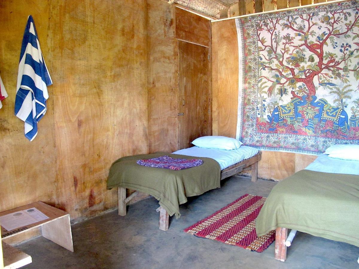 فندق أغوندافي  Galaxy Jungle Huts المظهر الخارجي الصورة