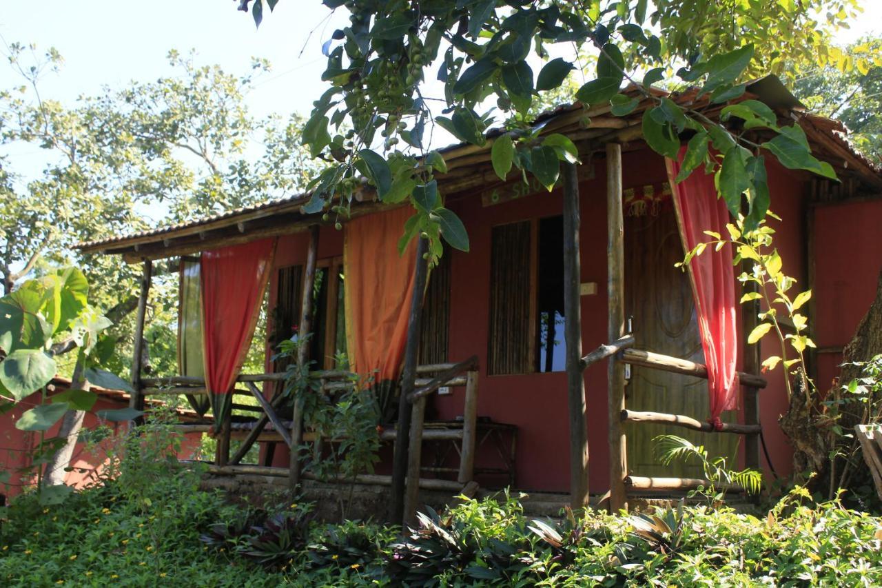 فندق أغوندافي  Galaxy Jungle Huts المظهر الخارجي الصورة
