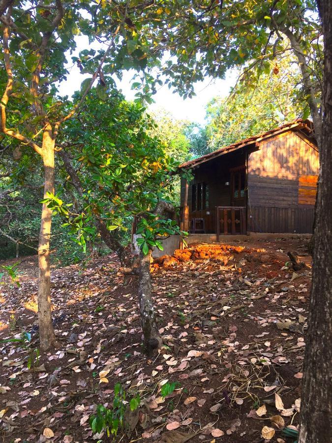 فندق أغوندافي  Galaxy Jungle Huts المظهر الخارجي الصورة
