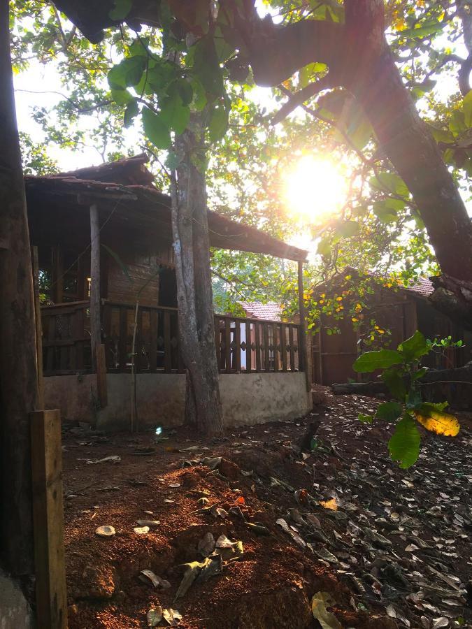 فندق أغوندافي  Galaxy Jungle Huts المظهر الخارجي الصورة