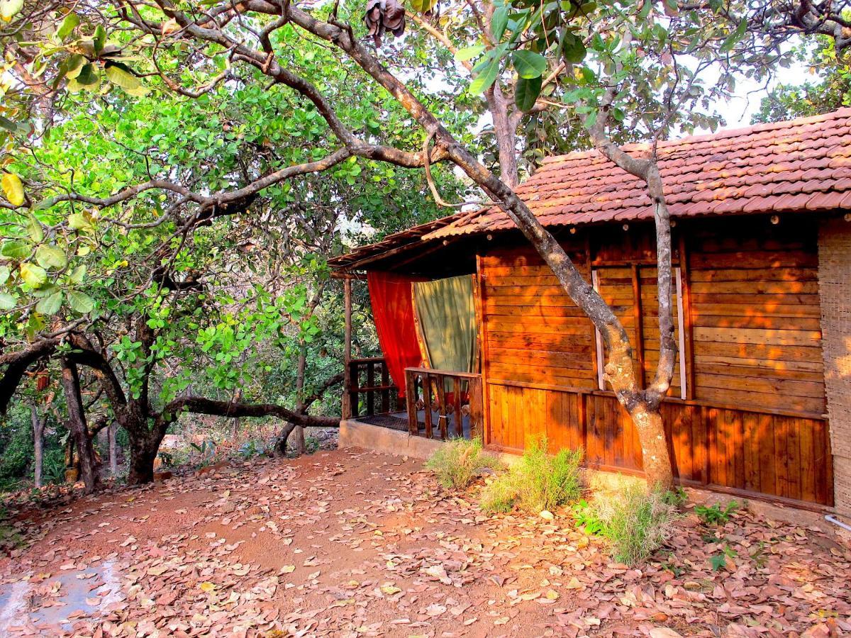 فندق أغوندافي  Galaxy Jungle Huts المظهر الخارجي الصورة