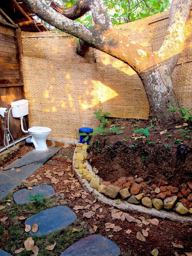 فندق أغوندافي  Galaxy Jungle Huts المظهر الخارجي الصورة