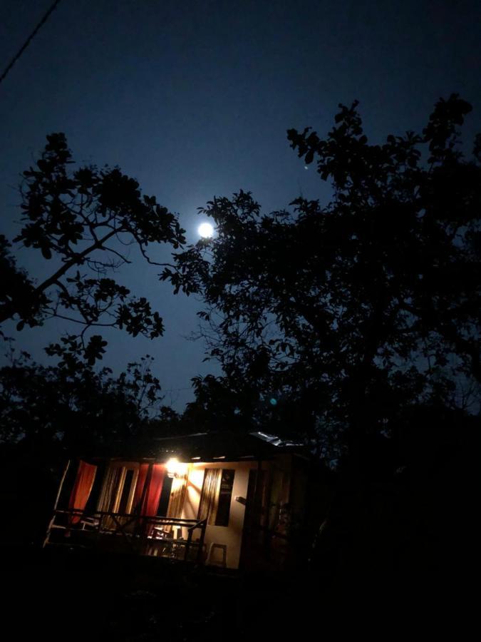 فندق أغوندافي  Galaxy Jungle Huts المظهر الخارجي الصورة