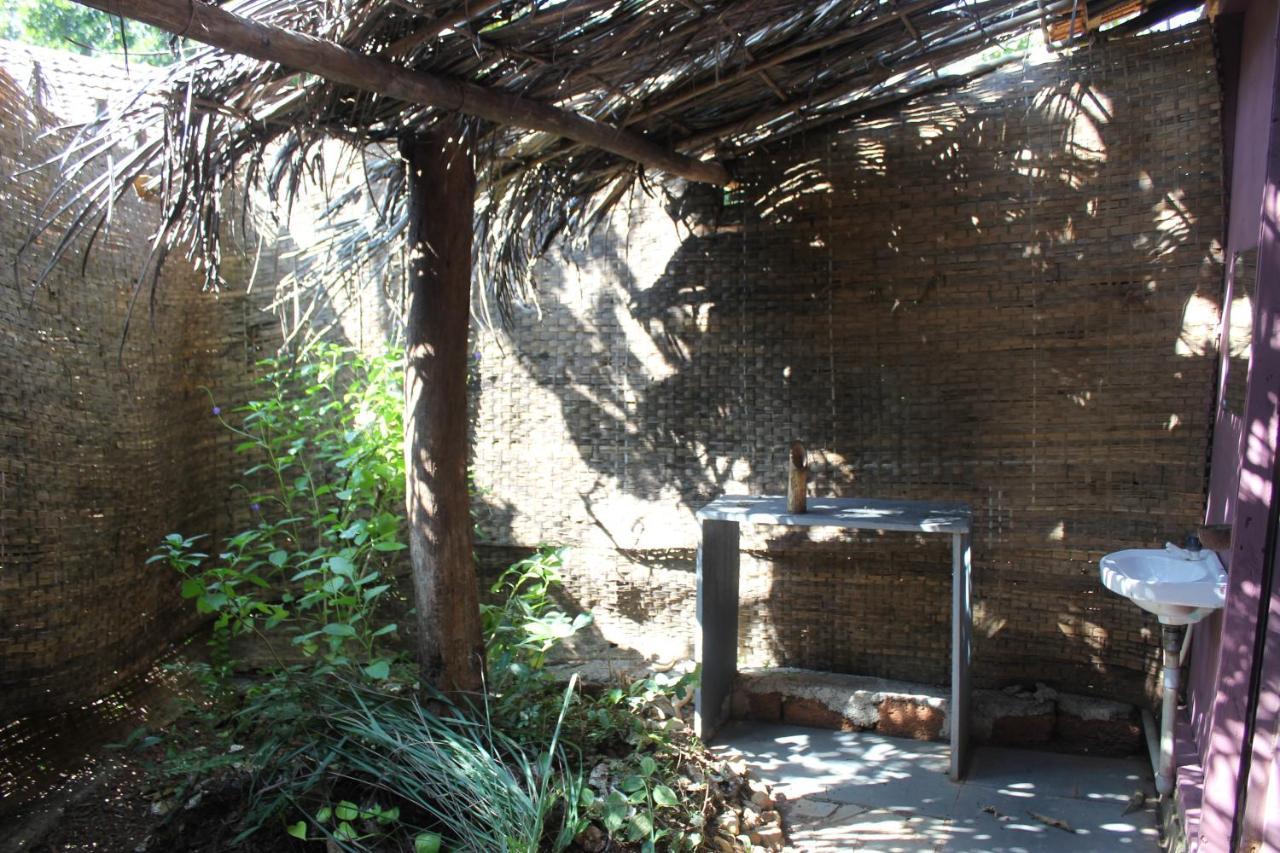 فندق أغوندافي  Galaxy Jungle Huts المظهر الخارجي الصورة