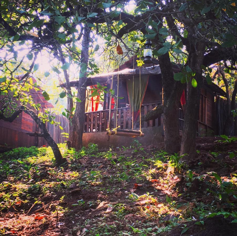 فندق أغوندافي  Galaxy Jungle Huts المظهر الخارجي الصورة