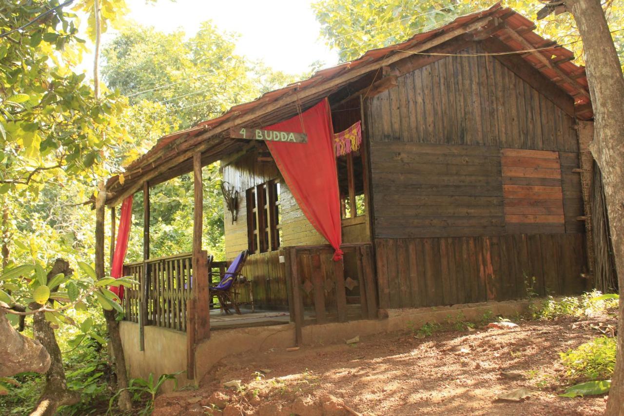 فندق أغوندافي  Galaxy Jungle Huts المظهر الخارجي الصورة