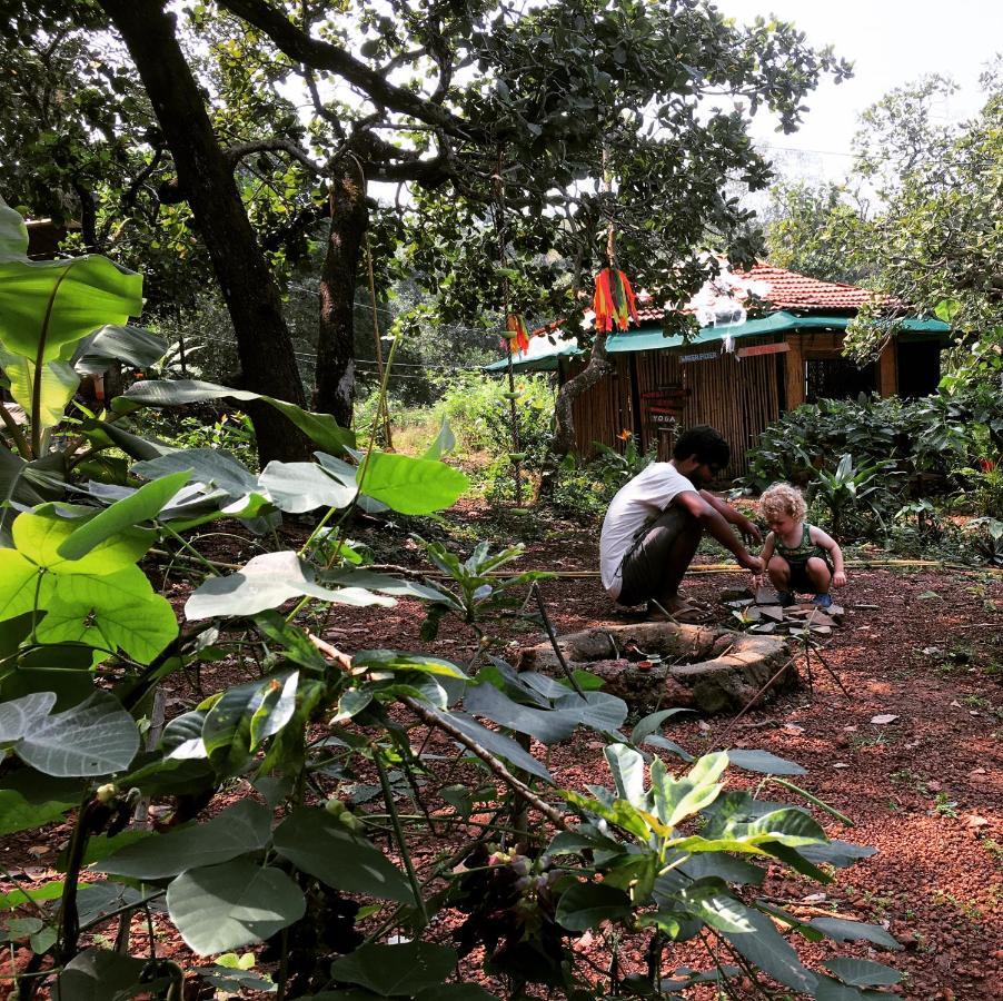 فندق أغوندافي  Galaxy Jungle Huts المظهر الخارجي الصورة
