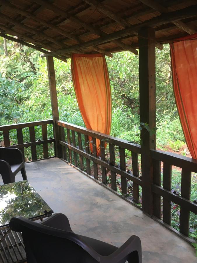 فندق أغوندافي  Galaxy Jungle Huts المظهر الخارجي الصورة