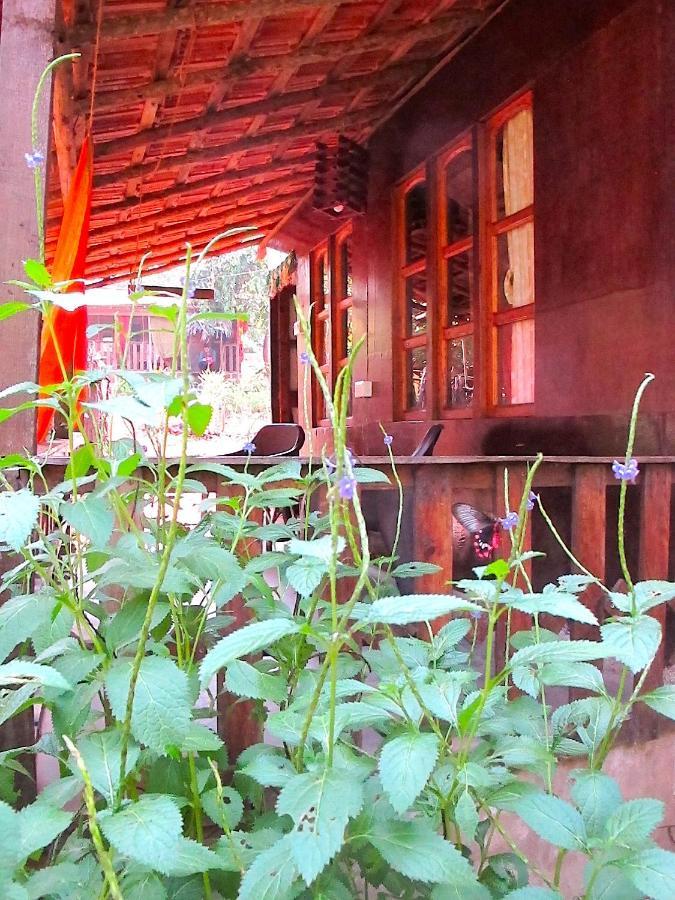 فندق أغوندافي  Galaxy Jungle Huts المظهر الخارجي الصورة