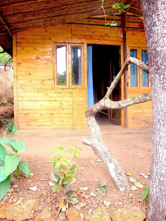 فندق أغوندافي  Galaxy Jungle Huts المظهر الخارجي الصورة