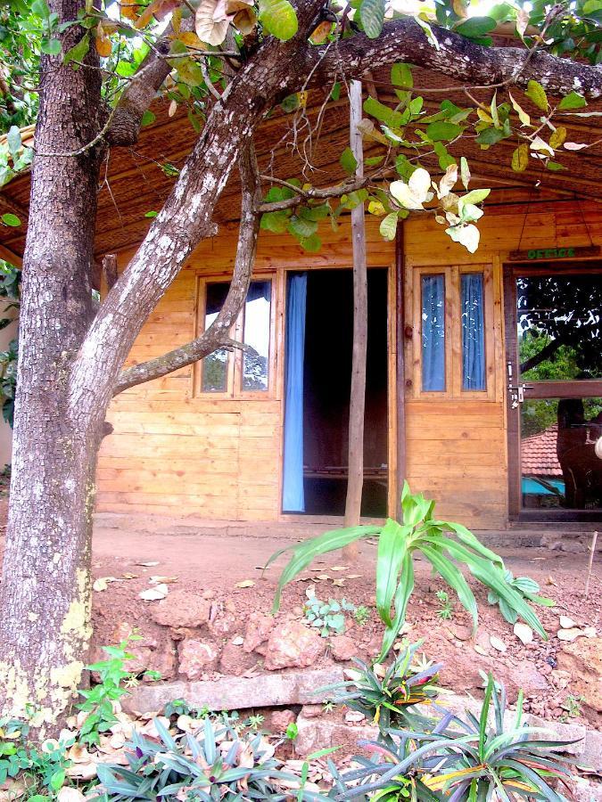 فندق أغوندافي  Galaxy Jungle Huts المظهر الخارجي الصورة